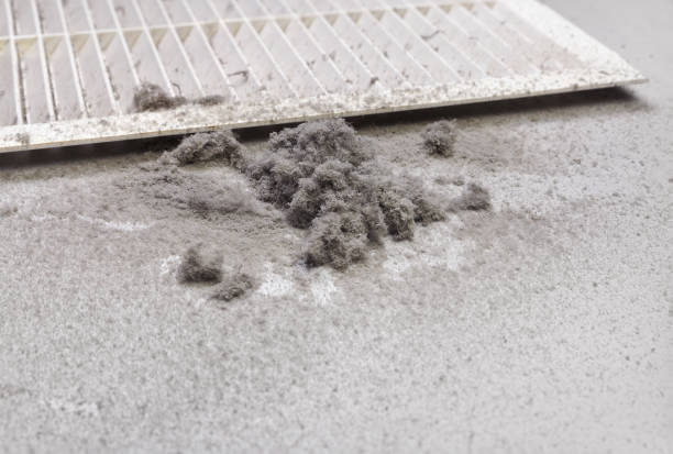 Best Air Duct Cleaning Company Near Me  in Cross Plains, WI