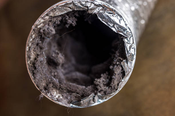 Best HVAC Duct Inspection Services  in Cross Plains, WI